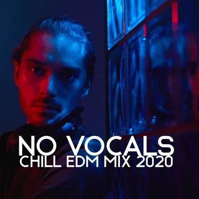 No Vocals: Chill Edm Mix 2020 专辑 DJ Infinity Night