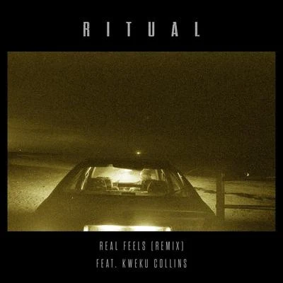 Real Feels (R I T U A L Remix) 专辑 Kweku Collins/Layna