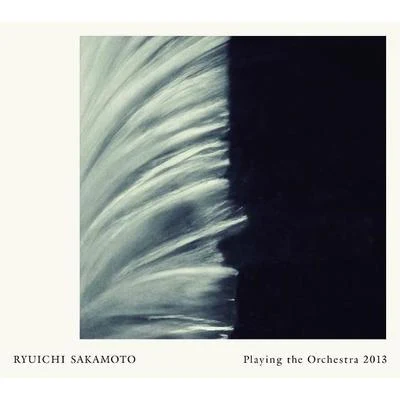 Playing the Orchestra 2013 專輯 Paula Morelenbaum/坂本龍一