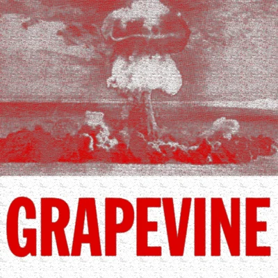 grapevine (G max XC Ali兄to remix) 專輯 Calixto/Haaradak