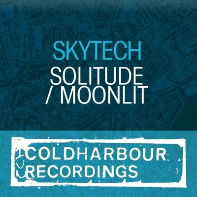 SolitudeMoonlit - Single 专辑 Foothills/Dominique Le Mon/Skytech