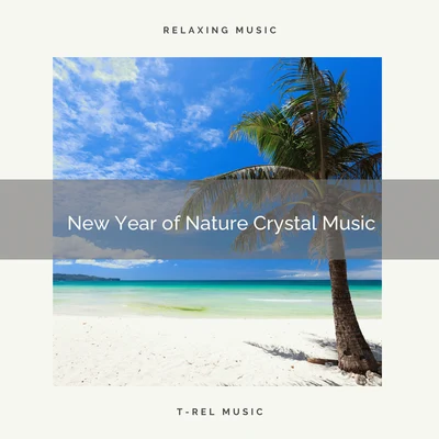 Sounds of Nature Noise 2020 Best: New Year of Nature Crystal Music