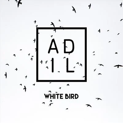 White Bird 專輯 Adil