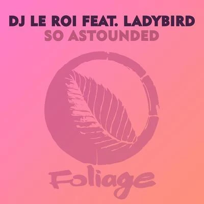 So Astounded (Remixes) 专辑 DJ Le Roi