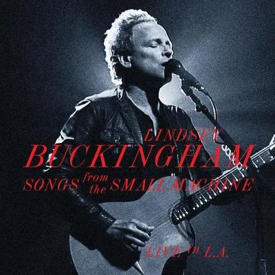 Lindsey Buckingham Songs From The Small Machine - Live In L.A.