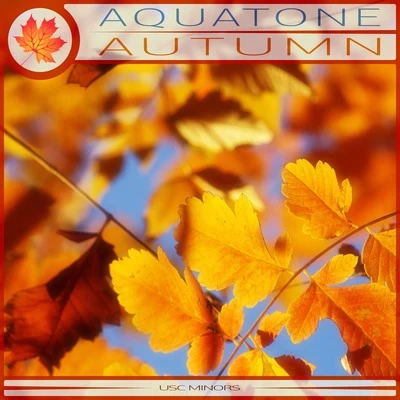 Autumn (Radio Edit) 专辑 Aquatone