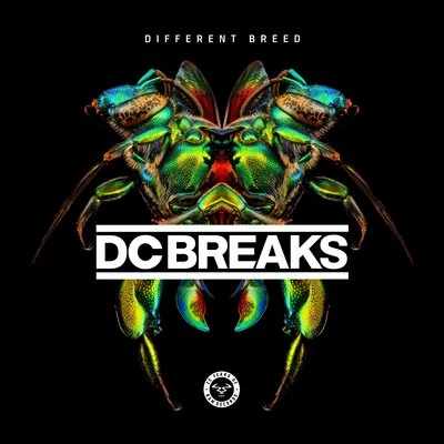 Different Breed 專輯 DC Breaks