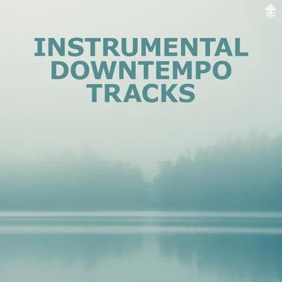 Instrumental Downtempo Tracks 專輯 Fudo Kazuki