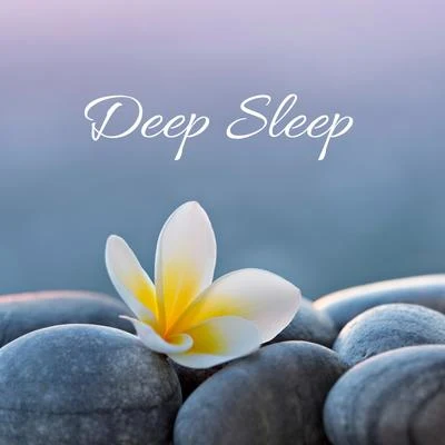 Deep Sleep 專輯 Ocean FX/Baby Lullaby/The Rain Library