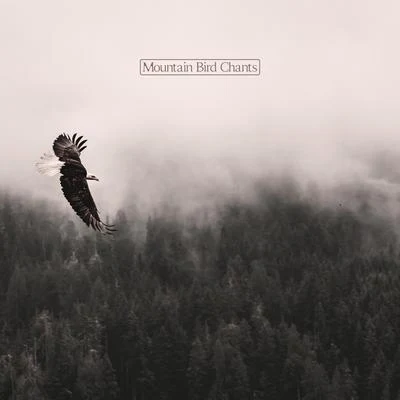 Mountain Bird Chants - Relaxing Sounds of Birds Combined with Instrumental Melodies Will Let You Break Away from Urban Traffic 专辑 Bird Sounds/Zona Música Relaxante/Relaxing Rain Sounds