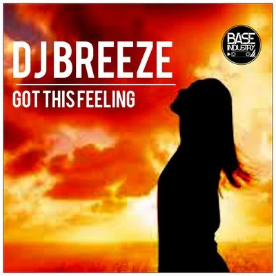 Got This Feeling 专辑 DJ Breeze