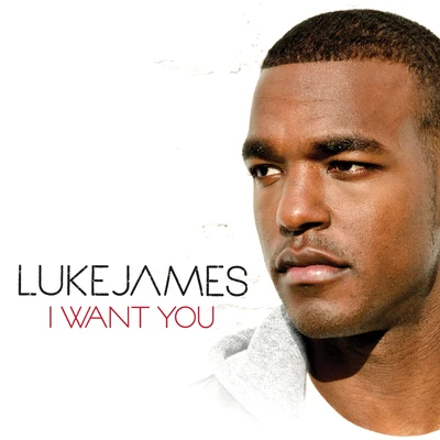 I Want You 專輯 Luke James/Samoht/Quintino & Blasterjaxx/Nu Deco Ensemble