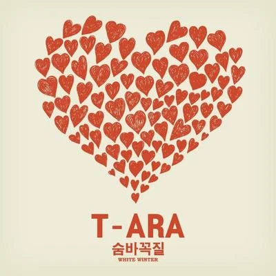 T-ara Winter 專輯 Wonder Girls/T-ara/Tasha