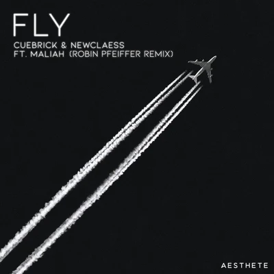 Fly (Robin Pfeiffer Remix) 專輯 Kevin Acero/Newclaess/Mike Destiny/DJ Jerry/Nelson