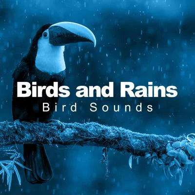 Birds and Rains 专辑 Bird Sounds