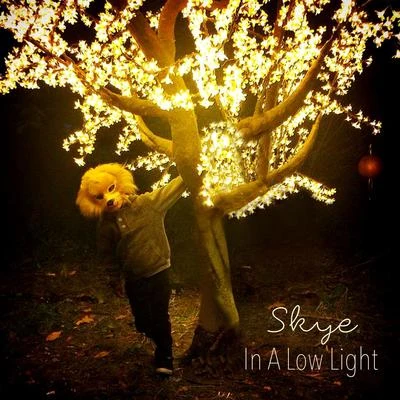 In a Low Light 專輯 Skye