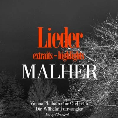 Malher : Lieder 專輯 Vienna Philharmonic Orchestra