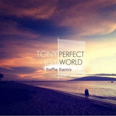 Perfect World (Baffle Remix) 專輯 Tony Igy/Gio Nailati/Hoshi Soul