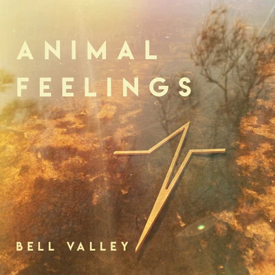 Bell Valley 專輯 Animal Feelings