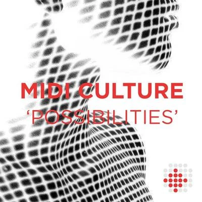 Possibilities 專輯 Midi Culture