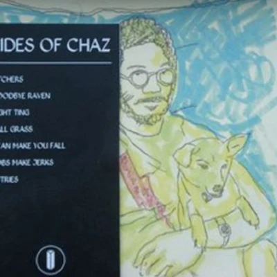 Sides of Chaz 专辑 Toro y Moi