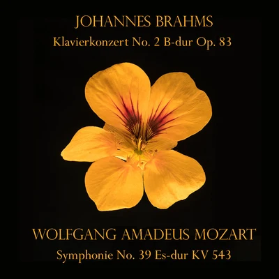 Johannes Brahms: Klavierkonzert No. 2 B-dur Op. 83Wolfgang Amadeus Mozart: Symphonie No. 39 Es-dur KV 543 專輯 Wilhelm Furtwängler/Yehudi Menuhin/Franz Schubert/Luciano Pavarotti/André Bénichou