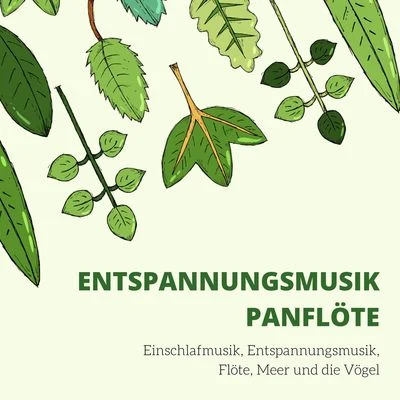 Entspannungsmusik Panflöte: Einschlafmusik, Entspannungsmusik, Flöte, Meer und die Vögel 專輯 Study Zone/Schlaflieder Relax/Meditation