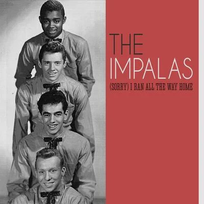 (Sorry) I Ran All the Way Home 专辑 The Impalas/Thoma Wayne/The DeLons/Ray Bob/The Graduates