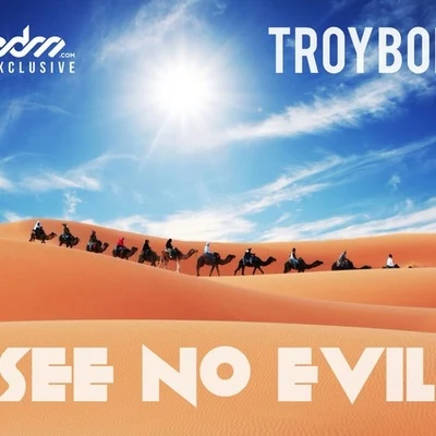 See No Evil 專輯 TroyBoi