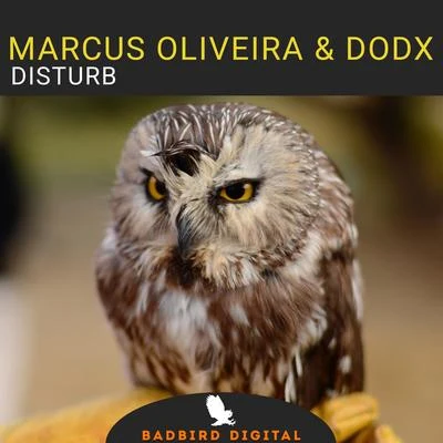 Disturb 專輯 Marcus Oliveira