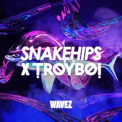 Wavez 專輯 Snakehips