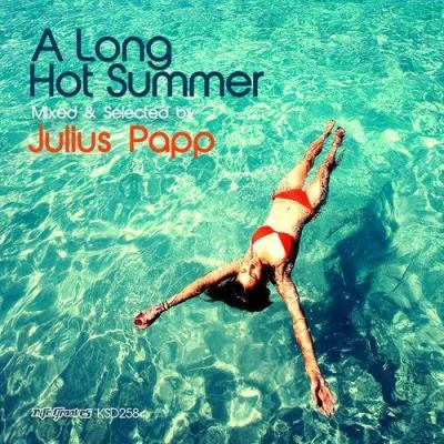 A Long Hot Summer: Mixed & Selected 專輯 Ralphi Rosario/Julissa Veloz