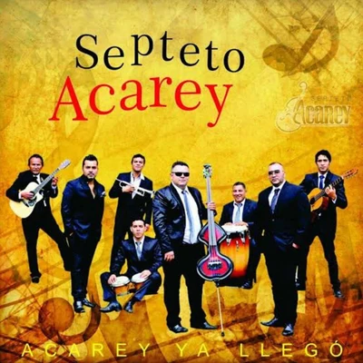 Acarey Ya Llegó 专辑 Septeto Acarey/Septeto Acarey & Jose Alberto "El Canario"/José Alberto "El Canario"