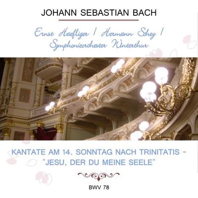 Ernst HaefligerHermann ScheySymphonieorchester Winterthur play: Johann Sebastian Bach: Kantate am 14. Sonntag nach Trinitatis - "Jesu, der du Me 專輯 Ernst Haefliger/Hedwig Bilgram/Donald McIntyre/Maria Stader/Stuart Burrows