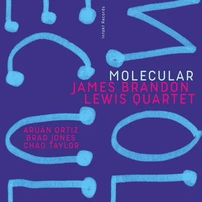 Molecular 专辑 Nasheet Waits/Michäel Attias Quartet/Aruán Ortiz/John Hebert