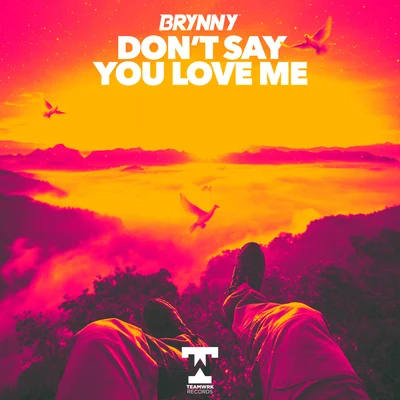 Don&#x27;t Say You Love Me 专辑 Brynny