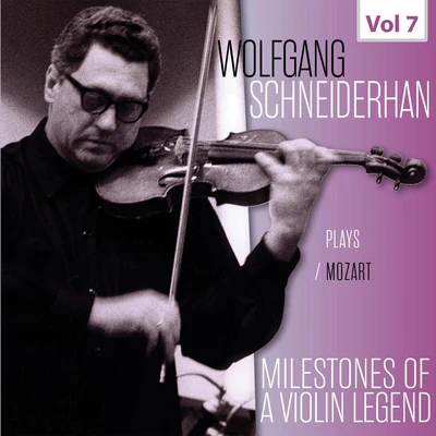 Milestones of a Violin Legend: Wolfgang Schneiderhan, Vol. 7 專輯 Wiener Symphoniker