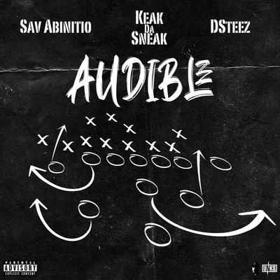 DsteezMO3 Audible