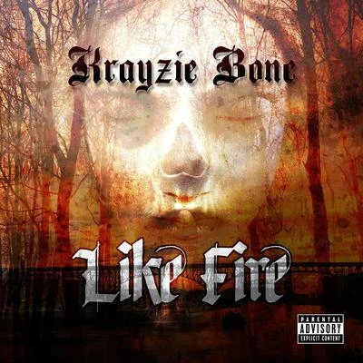 Like Fire - Single 專輯 Krayzie Bone/Kimberly Wyatt/Lady Gaga/Akon/Sam Sparro