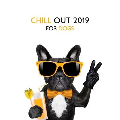 Chill Out 2019 for Dogs – Relaxing Beats for Pets, Summertime 2019, Holiday Beats for Dogs, Summer Hits, Perfect Relax Zone 專輯 Club Bossa Lounge Players/Todays Hits/The Cocktail Lounge Players