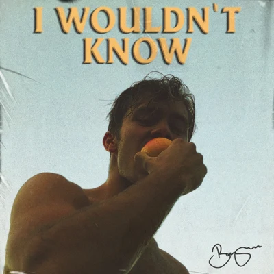 I Wouldn&#x27;t Know 专辑 Benjamin Ingrosso/FELIX SANDMAN