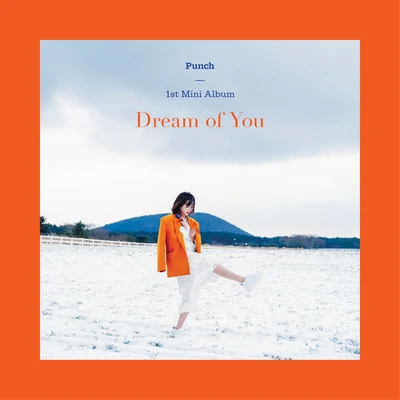 Dream of You 專輯 Punch/金寶京