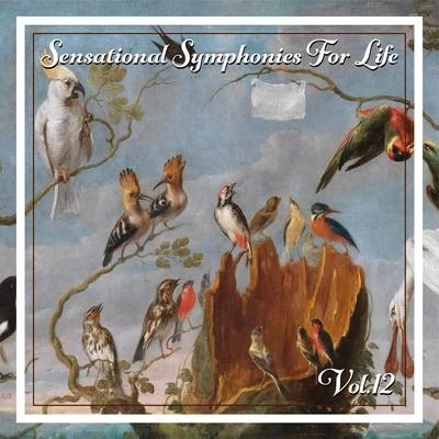 Sensational Symphonies For Life, Vol. 12 - Bruckner: Symphonie No. 1, Orgelwerke 專輯 Martin Haselböck/Chorus Sine Nomine/Orchester Wiener Akademie