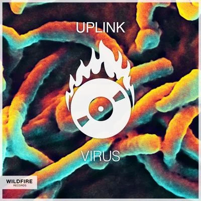 Virus 专辑 Uplink/Nippandab