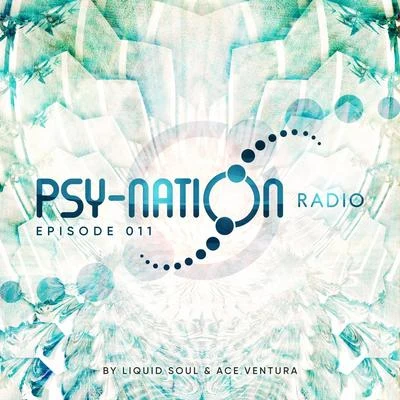 Psy-Nation Radio - Episode 011 (Compiled by Liquid Soul & Ace Ventura) 專輯 Ace Ventura/Mind Spin/Ranji/Astrix