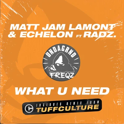 What U Need 专辑 K1R3Y/Rico Tubbs/Echleon/Matt Jam Lamont/Soulecta