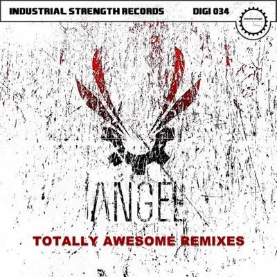 Angel Totally Awesome Remixes