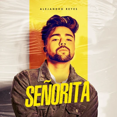 Señorita 專輯 DJ Gal Malka/Alejandro Reyes