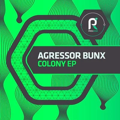 Colony EP 專輯 Agressor Bunx/The Upbeats/Misanthrop/Posij/Emperor