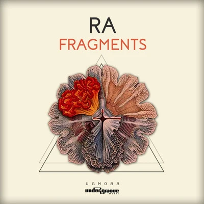 Fragments 專輯 Ra/Fields/HART/Raye/Wess